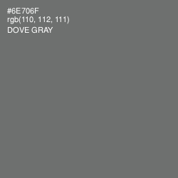 #6E706F - Dove Gray Color Image